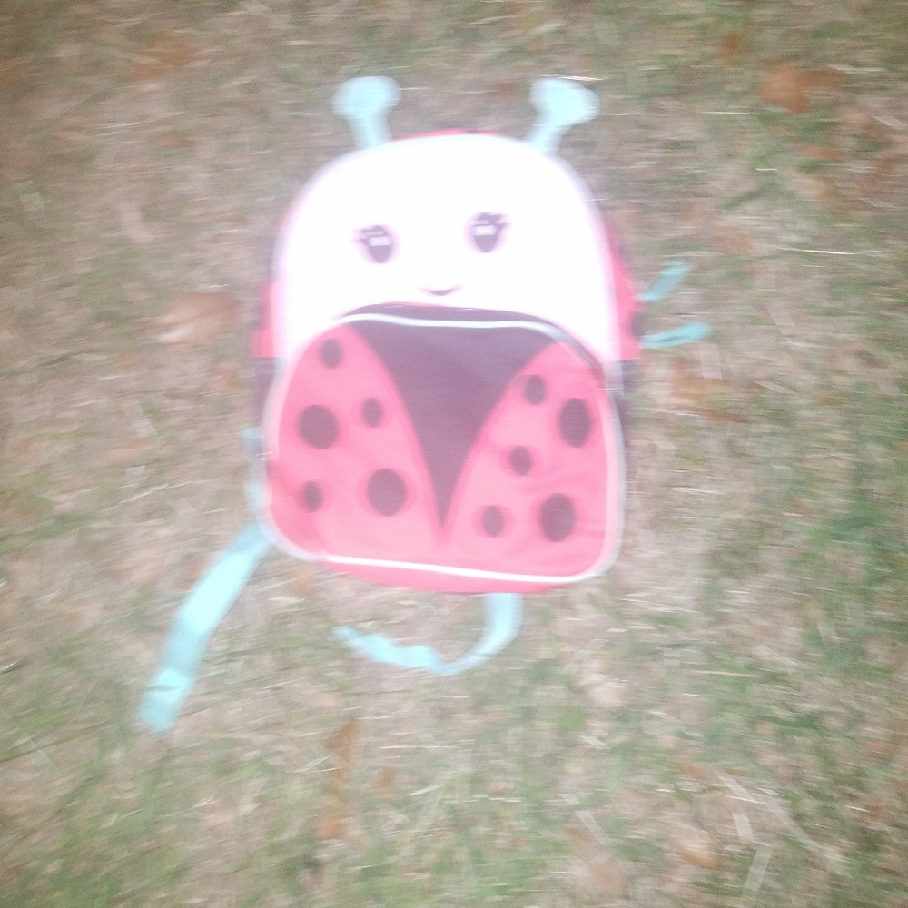 Lady Bug Book bag